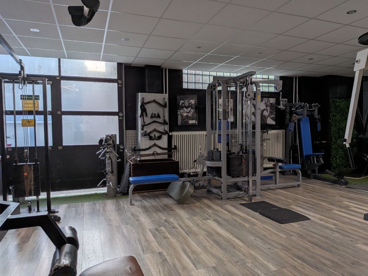 Kabelzugstation und Trainingsfläche mit Tageslicht
